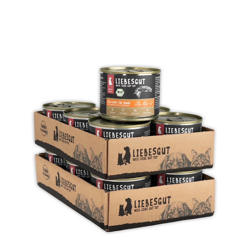 Bio-Lachs mit Bio-Banane und Bio-Pastinake