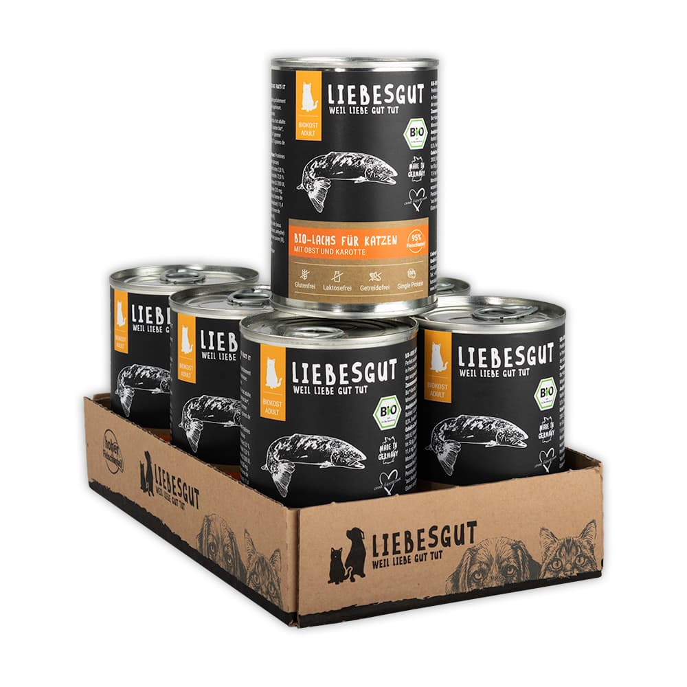 Bio-Lachs mit Bio-Obst und Bio-Karotte